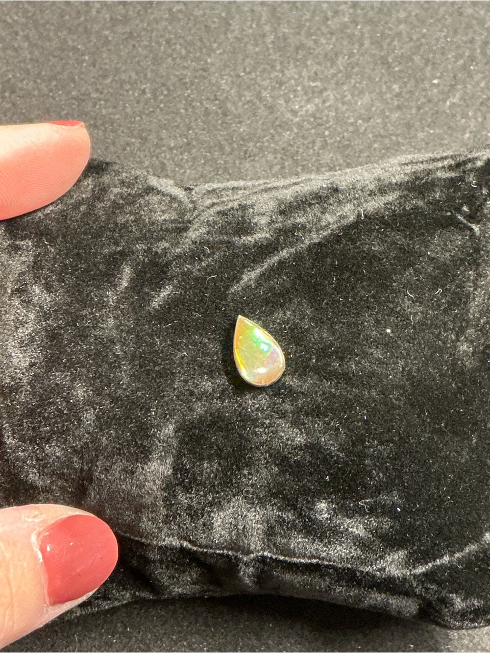 Teardrop Ammolite Loose Stone
